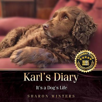 Karl's Diary