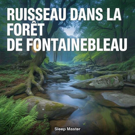 Ruisseau dans la Forêt de Fontainebleau