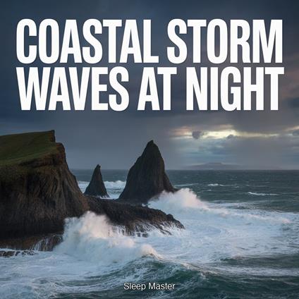 Coastal Storm Waves at Night
