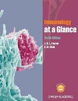 Immunology at a Glance - J. H. L. Playfair,B. M. Chain - cover
