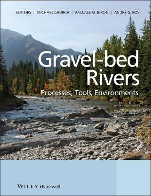 Gravel Bed Rivers: Processes, Tools, Environments - cover