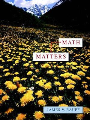 Math Matters - James V. Rauff - cover