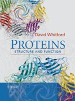 Proteins: Structure and Function