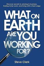 What on earth are you working for?