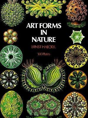 Art Forms in Nature - Ernst Haeckel - cover