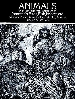 Animals: 1,419 Copyright-Free Illustrations of Mammals, Birds, Fish, Insects, etc - cover