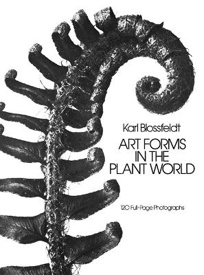 Art Forms in the Plant World - Karl Blossfeldt - cover