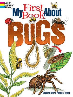 My First Book About Bugs - Patricia Wynne - cover