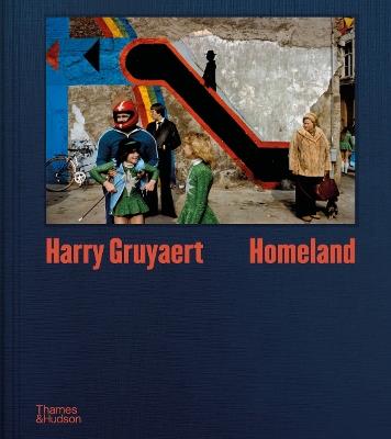 Harry Gruyaert: Homeland - Harry Gruyaert,Brice Matthieussent - cover