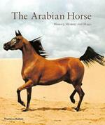 The Arabian Horse: History, Mystery and Magic