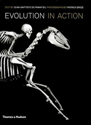 Evolution in Action: Natural History through Spectacular Skeletons - cover