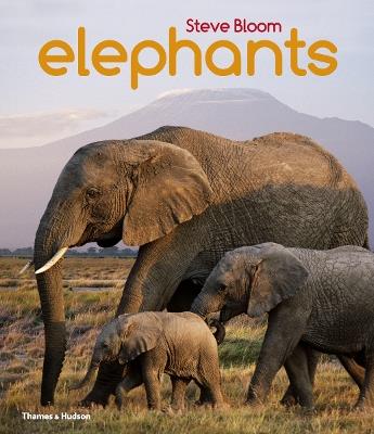 Elephants - Steve Bloom - cover
