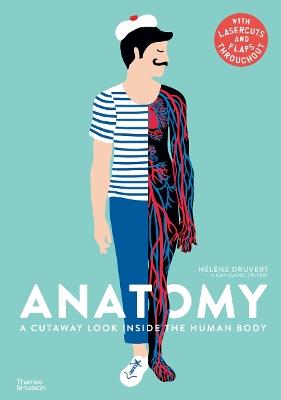 Anatomy: A Cutaway Look Inside the Human Body - Helene Druvert - cover