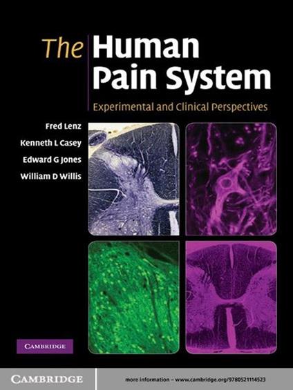 The Human Pain System