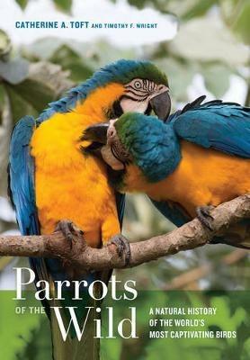 Parrots of the Wild: A Natural History of the World's Most Captivating Birds - Catherine A. Toft,Timothy F. Wright - cover