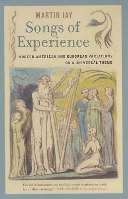 Songs of Experience: Modern American and European Variations on a Universal Theme - Martin Jay - cover