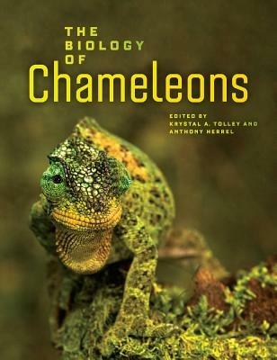 The Biology of Chameleons - cover