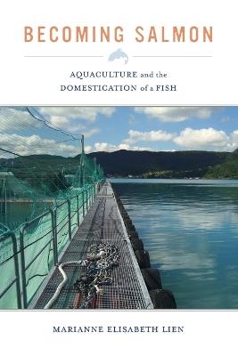 Becoming Salmon: Aquaculture and the Domestication of a Fish - Marianne Elisabeth Lien - cover
