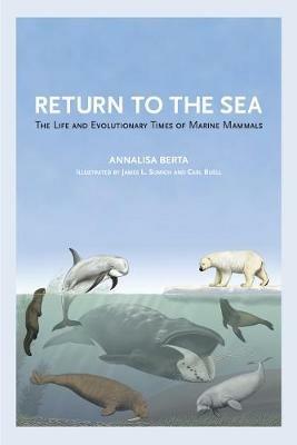 Return to the Sea: The Life and Evolutionary Times of Marine Mammals - Annalisa Berta - cover