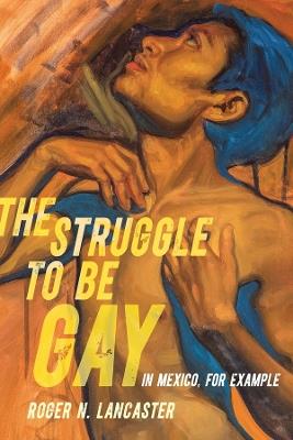 The Struggle to Be Gay—in Mexico, for Example - Roger N. Lancaster - cover