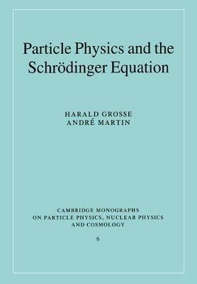 Particle Physics and the Schroedinger Equation - Harald Grosse,Andri Martin - cover