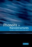 Phonons in Nanostructures - Michael A. Stroscio,Mitra Dutta - cover