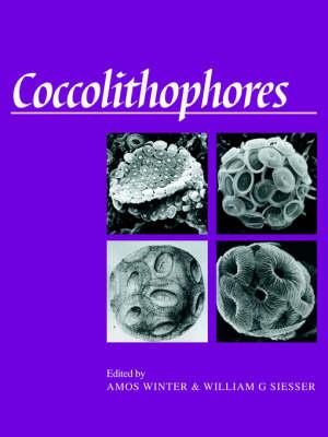 Coccolithophores - cover