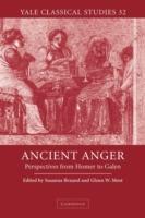 Ancient Anger: Perspectives from Homer to Galen - cover