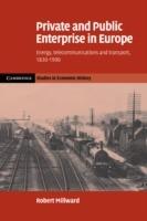 Private and Public Enterprise in Europe: Energy, Telecommunications and Transport, 1830-1990