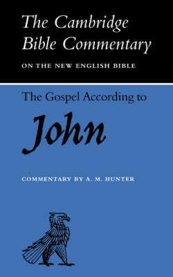 The Gospel according to John - cover