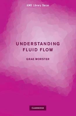 Understanding Fluid Flow - Grae Worster - cover