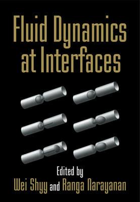 Fluid Dynamics at Interfaces - cover