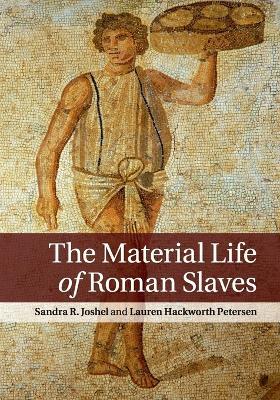 The Material Life of Roman Slaves - Sandra R. Joshel,Lauren Hackworth Petersen - cover