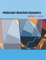 Molecular Reaction Dynamics - Raphael D. Levine - cover