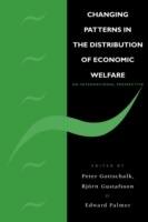 Changing Patterns in the Distribution of Economic Welfare: An Economic Perspective - cover