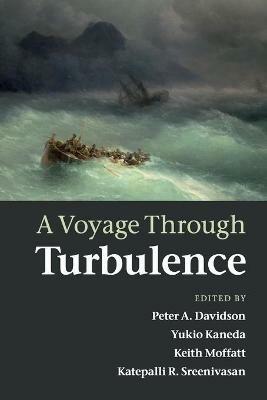 A Voyage Through Turbulence - cover