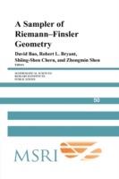 A Sampler of Riemann-Finsler Geometry