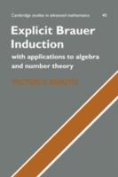 Explicit Brauer Induction: With Applications to Algebra and Number Theory - Victor P. Snaith - cover