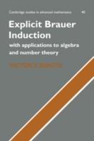 Explicit Brauer Induction: With Applications to Algebra and Number Theory