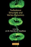 Turbulence Structure and Vortex Dynamics - cover