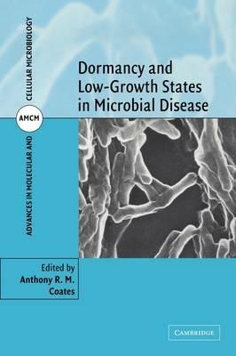 Dormancy and Low Growth States in Microbial Disease - cover