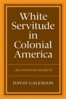 White Servitude in Colonial America: An economic analysis