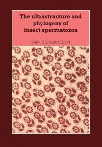 The Ultrastructure and Phylogeny of Insect Spermatozoa - Barrie G. M. Jamieson - cover