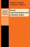 Social Experimentation and Economic Policy - Robert Ferber,Werner Z. Hirsch - cover