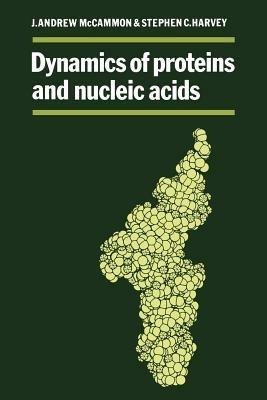 Dynamics of Proteins and Nucleic Acids - J. Andrew McCammon,Stephen C. Harvey - cover
