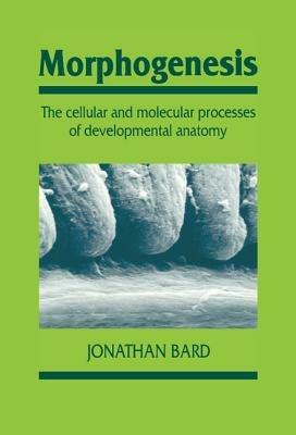 Morphogenesis: The Cellular and Molecular Processes of Developmental Anatomy - Jonathan Bard - cover