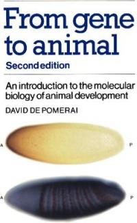From Gene to Animal: An Introduction to the Molecular Biology of Animal Development - David de Pomerai - cover