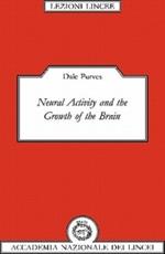 Neural Activity and the Growth of the Brain