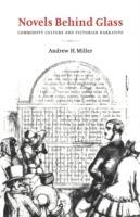 Novels behind Glass: Commodity Culture and Victorian Narrative - Andrew H. Miller - cover