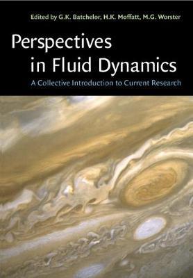 Perspectives in Fluid Dynamics: A Collective Introduction to Current Research - cover